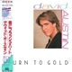 David Austin - Turn To Gold